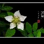 驤皁顷H?JzU糈h?蘽X奯3L紨{S?庌e~炑??b.寿贝?カ譢U?矢kzX鐒T懱~痨I?hR;5k